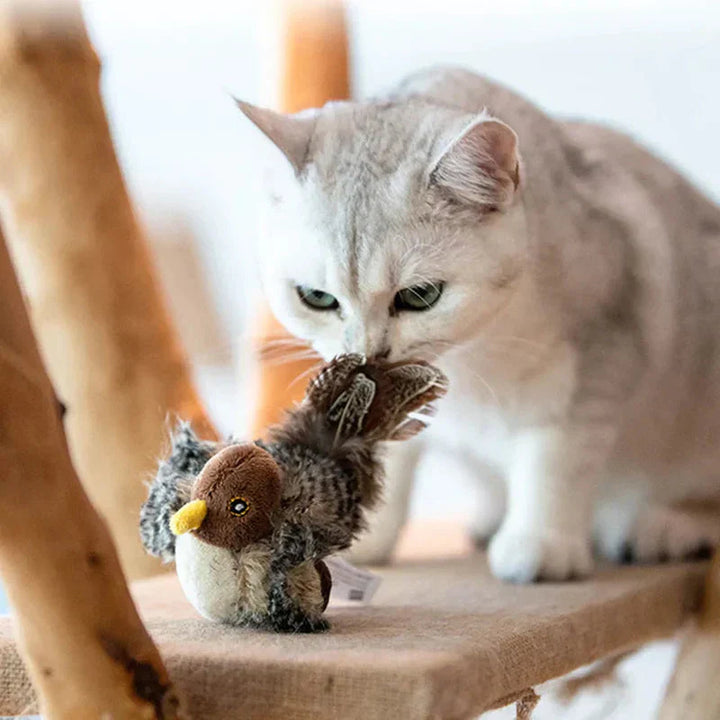 Kattenspeelgoed | Interactief kattenspeeltje met geluid