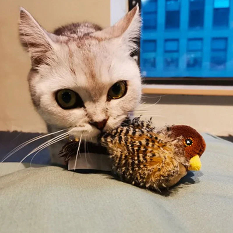 Kattenspeelgoed | Interactief kattenspeeltje met geluid