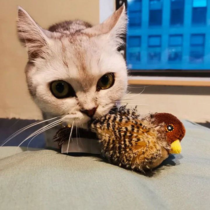 Kattenspeelgoed | Interactief kattenspeeltje met geluid