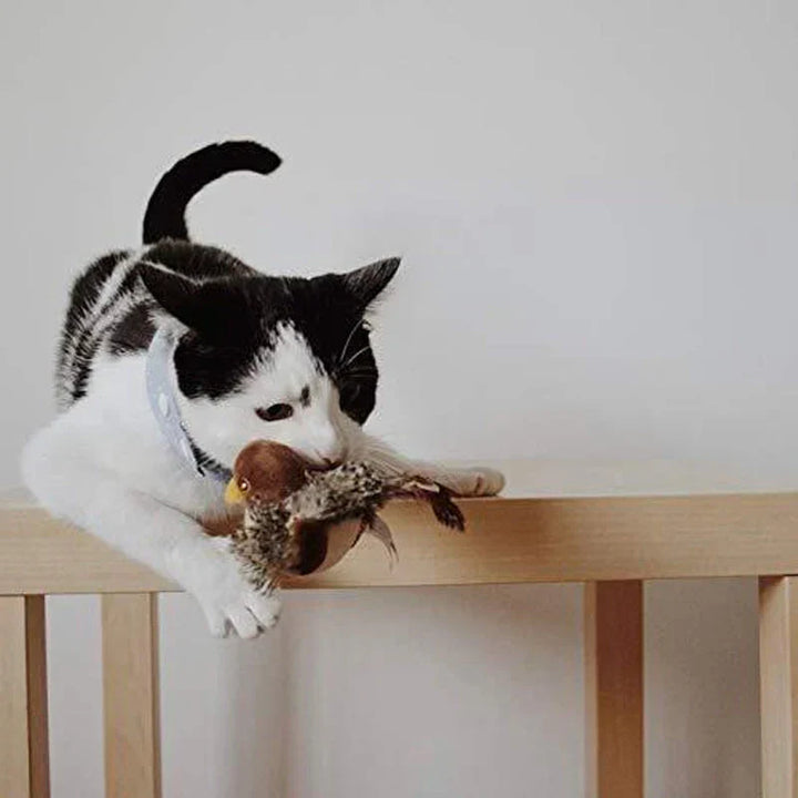 Kattenspeelgoed | Interactief kattenspeeltje met geluid
