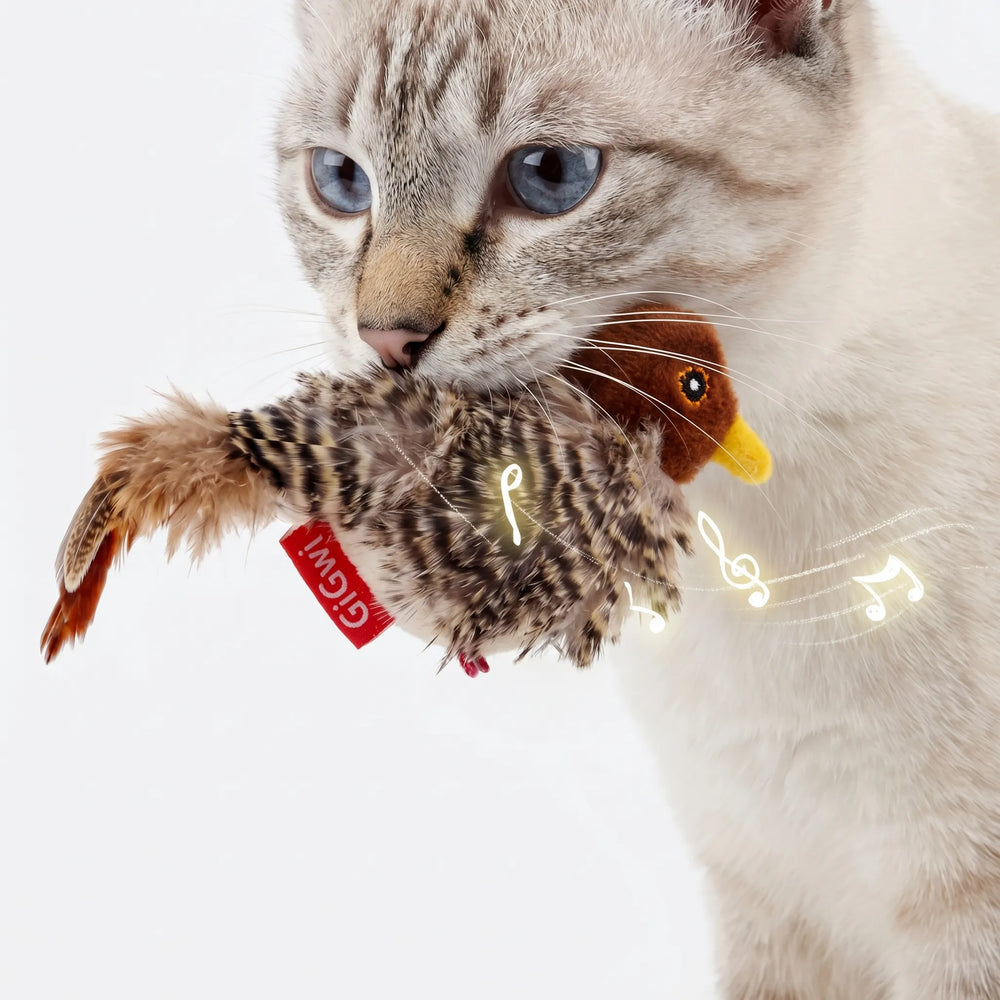 Kattenspeelgoed | Interactief kattenspeeltje met geluid