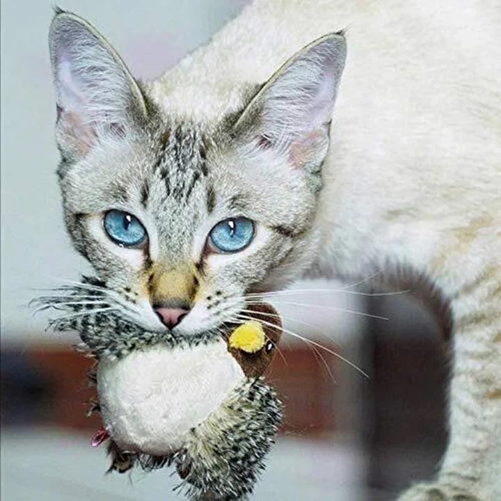 Kattenspeelgoed | Interactief kattenspeeltje met geluid
