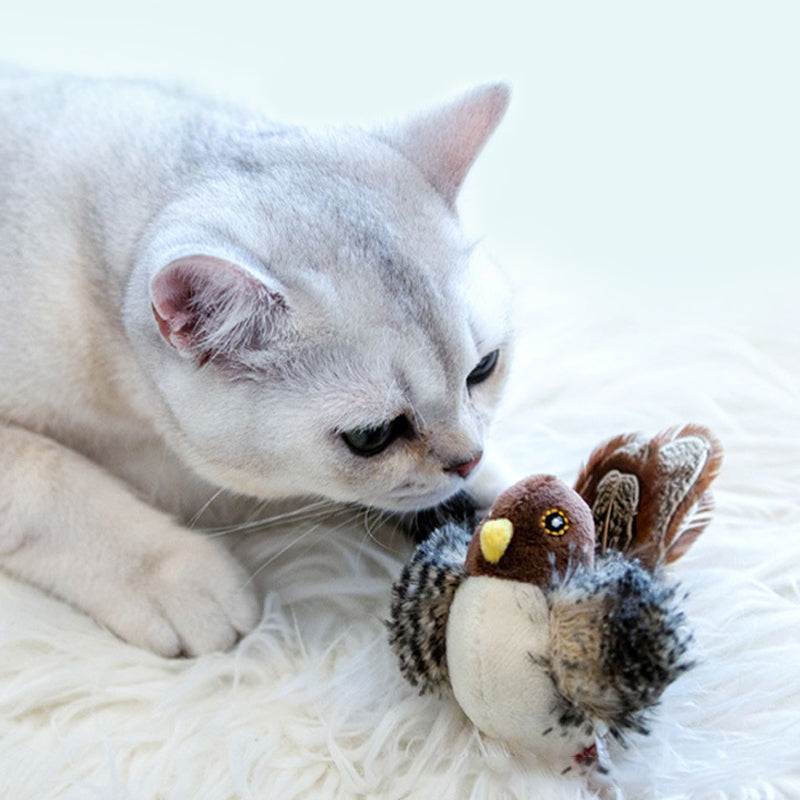 Kattenspeelgoed | Interactief kattenspeeltje met geluid