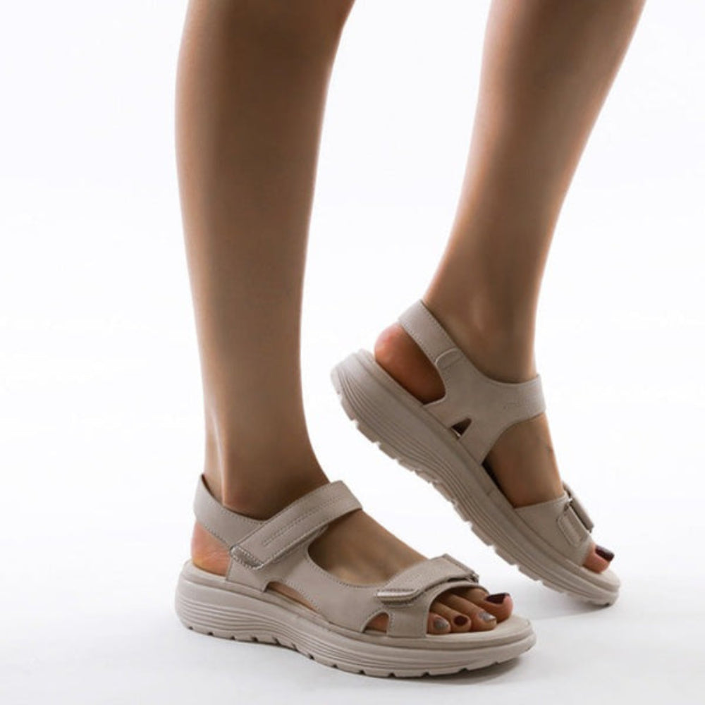 OrthoChic 4