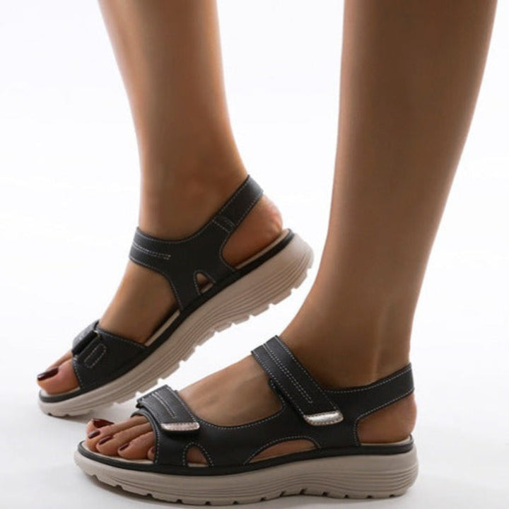 OrthoChic 6
