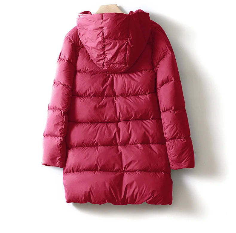 Puffer jas dames | Halflang gewatteerd model met capuchon