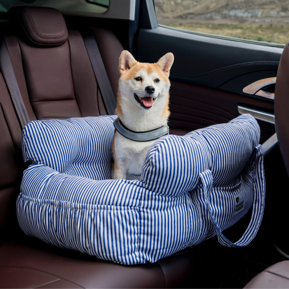 TravelBuddy 6