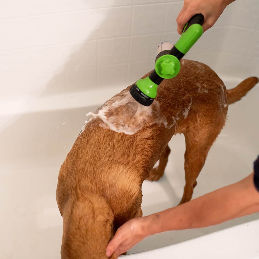 PawJet | Honden douche sproeier