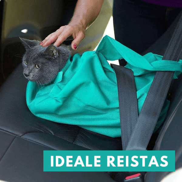 Kattenreistas | Op een comfortabele manier je kat vervoeren | 1+1 GRATIS - Storebay.nl