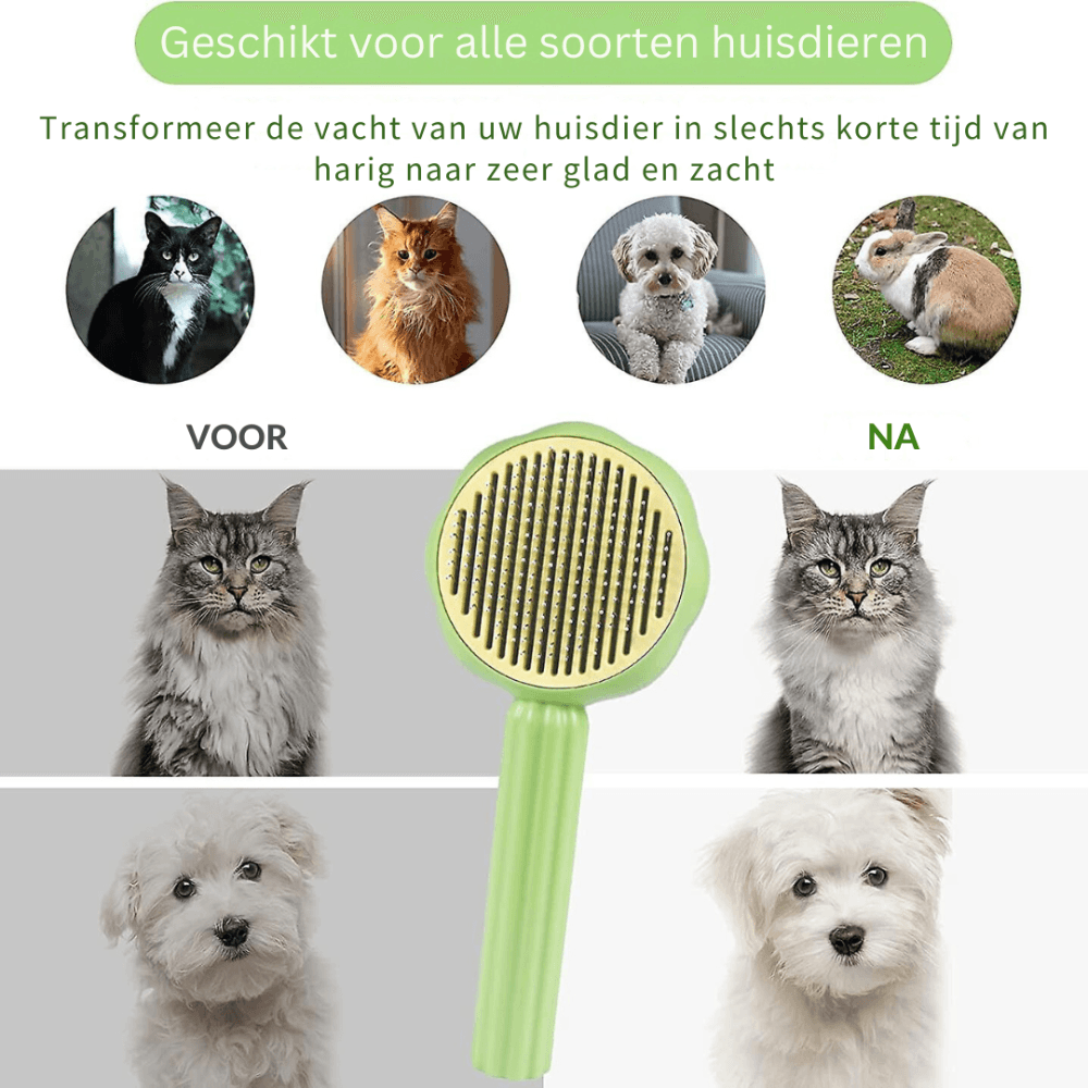 Petbrush | Je huisdier borstelen was nog nooit zo makkelijk! - Storebay.nl
